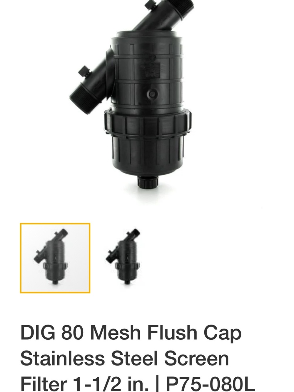 80 Mesh Flush Cap Stainless Steel Screen Filter - Black